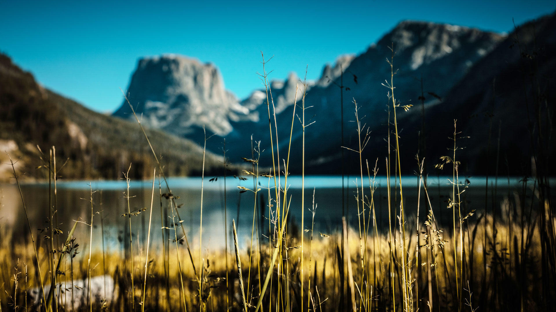 Nguyễn Ngọc Hải